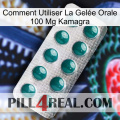 Comment Utiliser La Gelée Orale 100 Mg Kamagra dapoxetine1